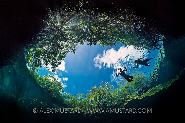 Swimming Beneath Trees. Mexico
