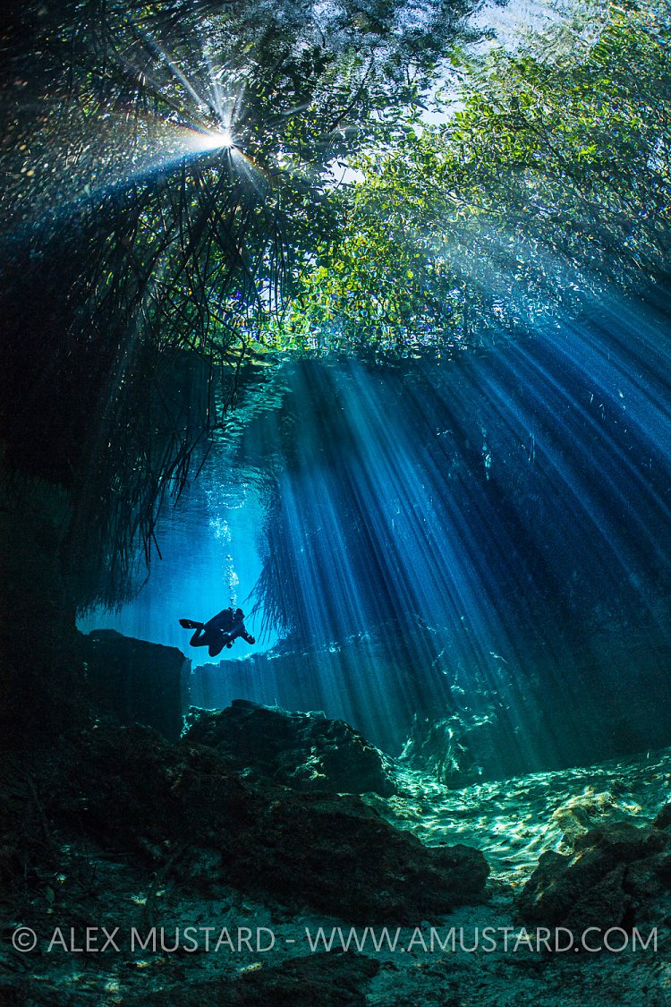 Diving In Cenote. Mexico