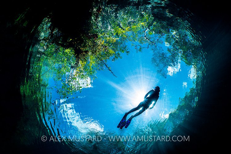 Swimming In Cenote. Mexico