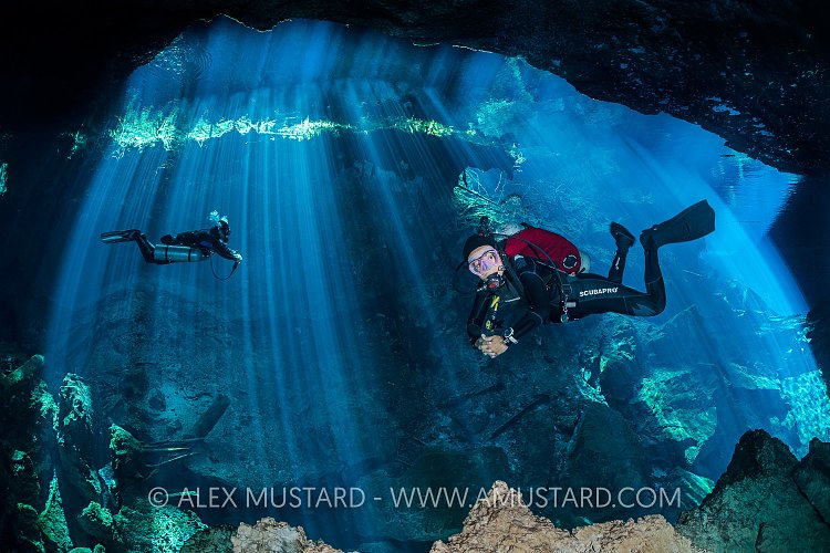 Cenote Divers. Mexico