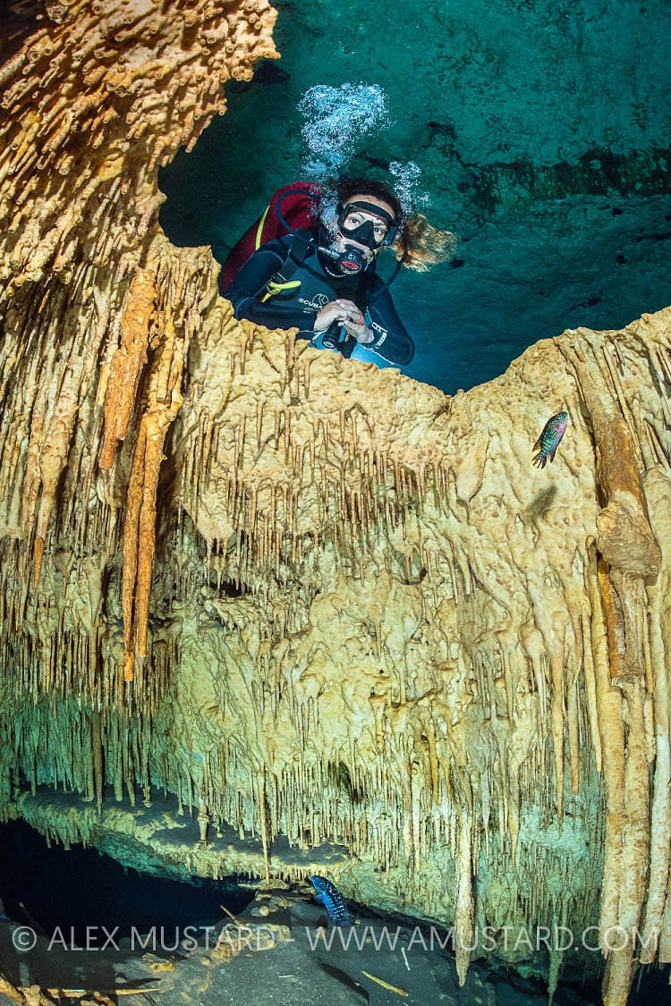 Diver With Cave Formations. Mexico