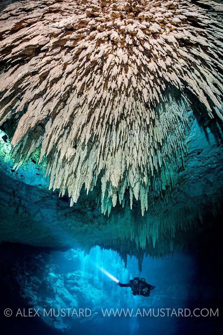 Stalagmite Ceiling. Mexico