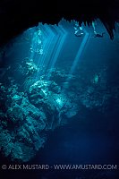 Divers In The Pit. Mexico