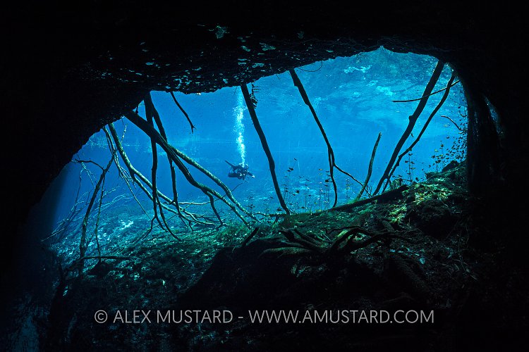 Diver In Cenote. Mexico