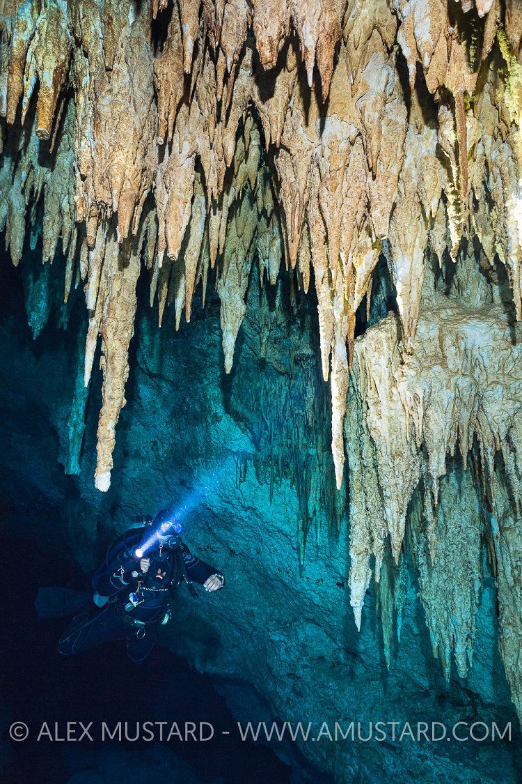 Diver With Cave Formations. Mexico