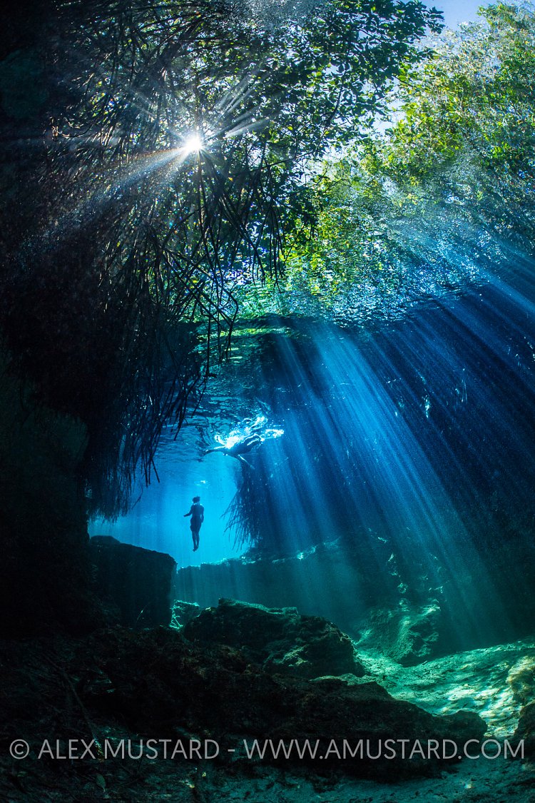 Swimming In Cenote. Mexico