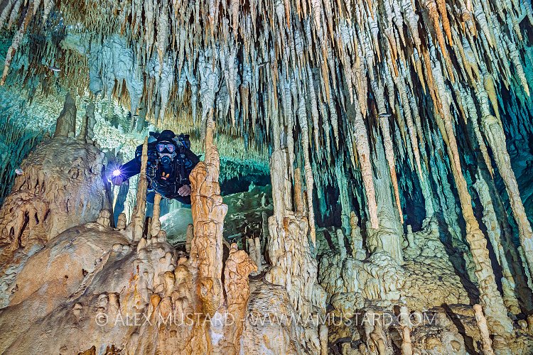 Diver Explores Cenote. Mexico