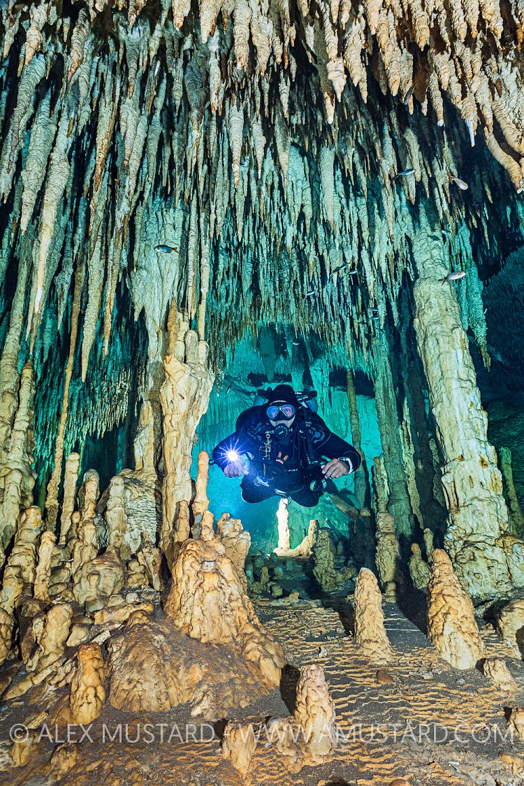Exploring Cenote. Mexico