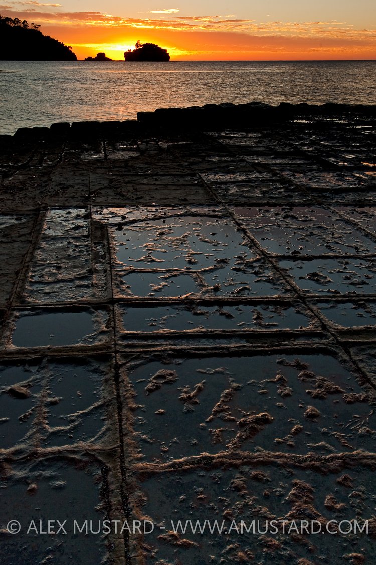 Tessellated pavement sunrise