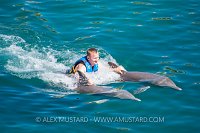 Captive Dolphins Perform. Mexico