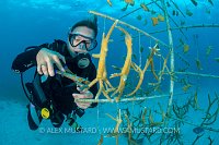 Coral Propagation Project. Cayman Islands