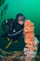 Eating Anemones. Norway