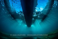 Dive Boat In Sun. Philippines