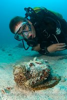 Diver inspects stonefish, Mabul Island, Sabah, Malaysia