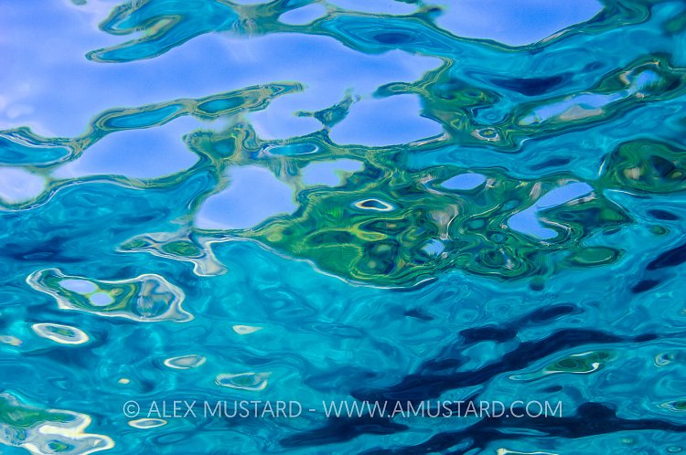 Surface Details. Thailand