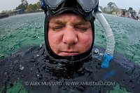 Alex Mustard, Florida, USA.