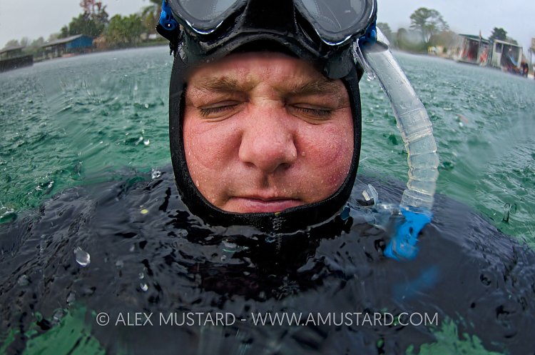 Alex Mustard, Florida, USA.