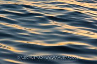 Dawn On The Ocean. USA