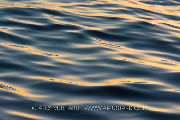 Dawn On The Ocean. USA