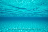 Inviting Waters. Bahamas