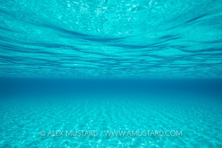 Inviting Waters. Bahamas