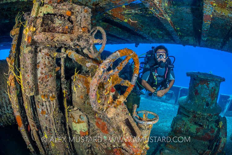 Exploring The Kittiwake. Cayman Islands