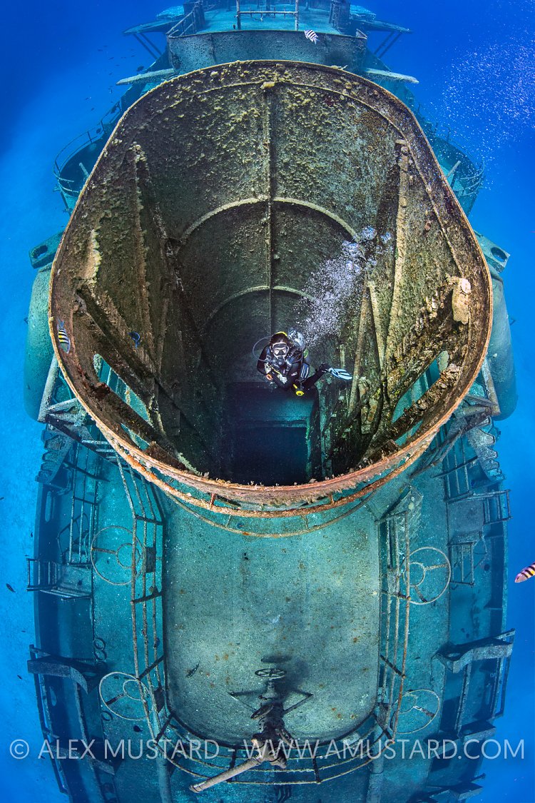 Funnel Diver. Cayman Islands.