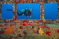 Diver On Bridge. Kittiwake. Cayman Islands