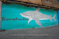 Whale Shark Mural. Mexico