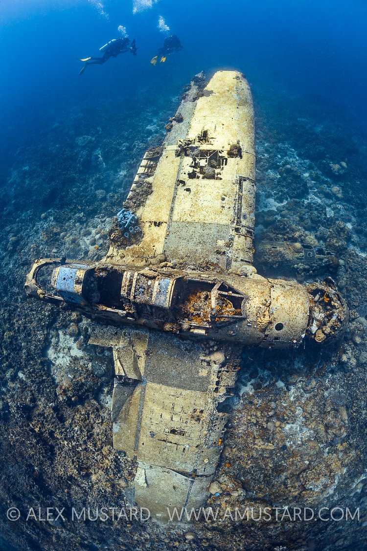 Plane Wreck. Palau