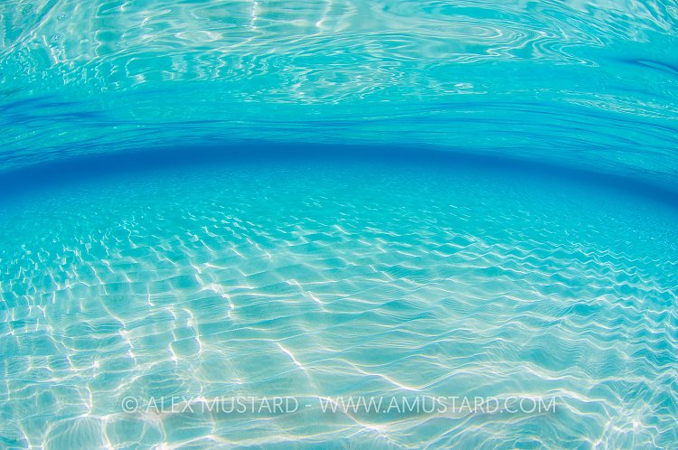 Morning Light Underwater. Cayman Islands