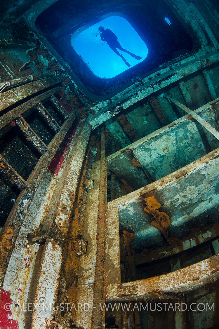 Diver On Kittiwake. Cayman Islands