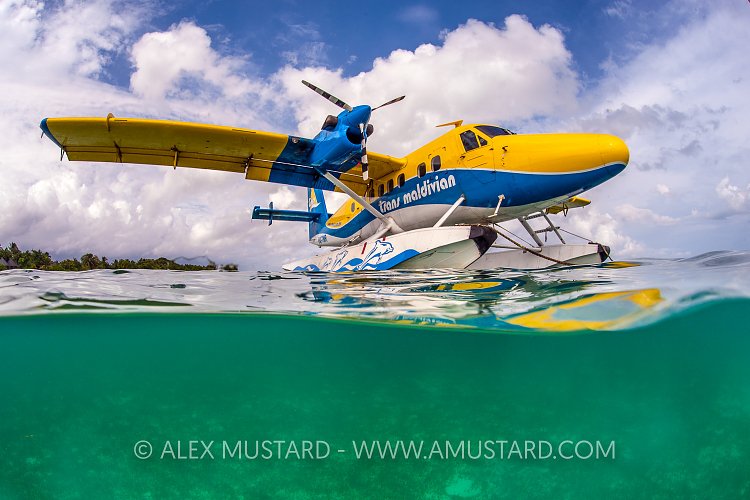 Seaplane By Island. Maldives