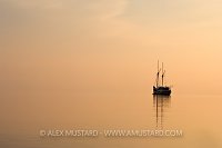 Floating Liveaboard. Indonesia