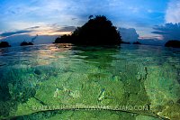 Shallow Water Corals. Indonesia