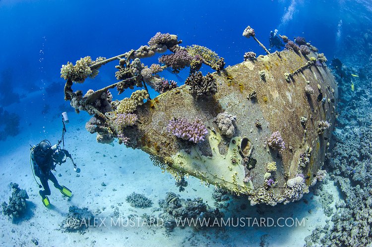 Wreck Of A Yacht. Egypt