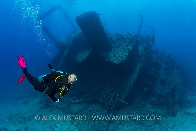 DIver With Wreck. Egypt