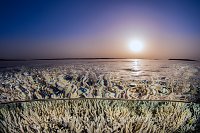Coral Sunset. Egypt