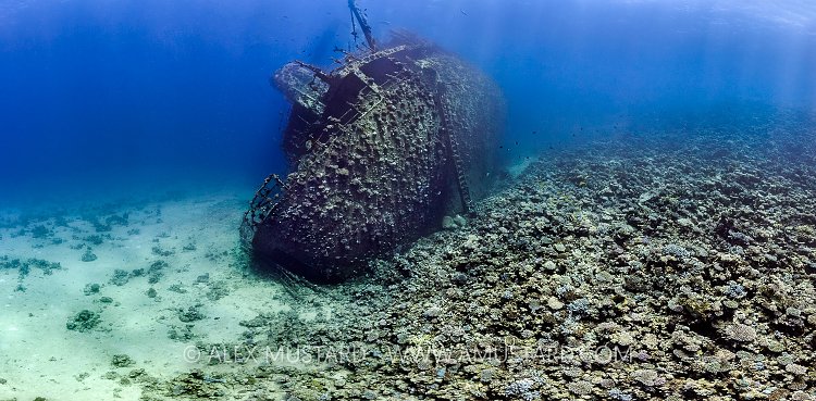 Giannis D Wrecked On Reef. Egypt
