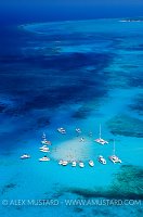 Stingray City From Above. Cayman Islands