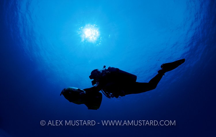 Diver On Scooter. Cayman Islands