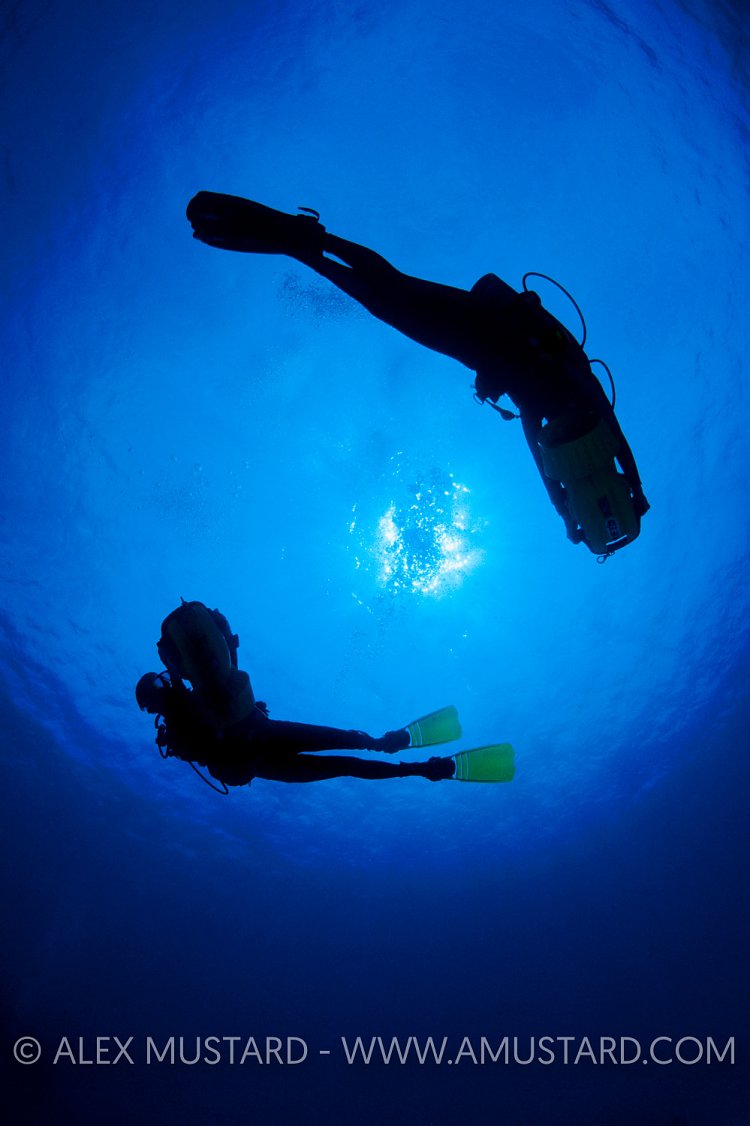 Circling Scooters. Cayman Islands