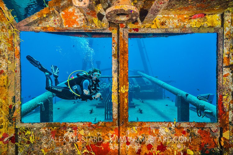 Diver Through Windows. Cayman Islands