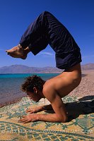 Diving And Yoga. Egypt