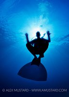 Monofin Diver. Egypt