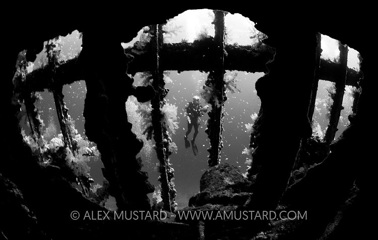 Diver Through Wreck. Egypt