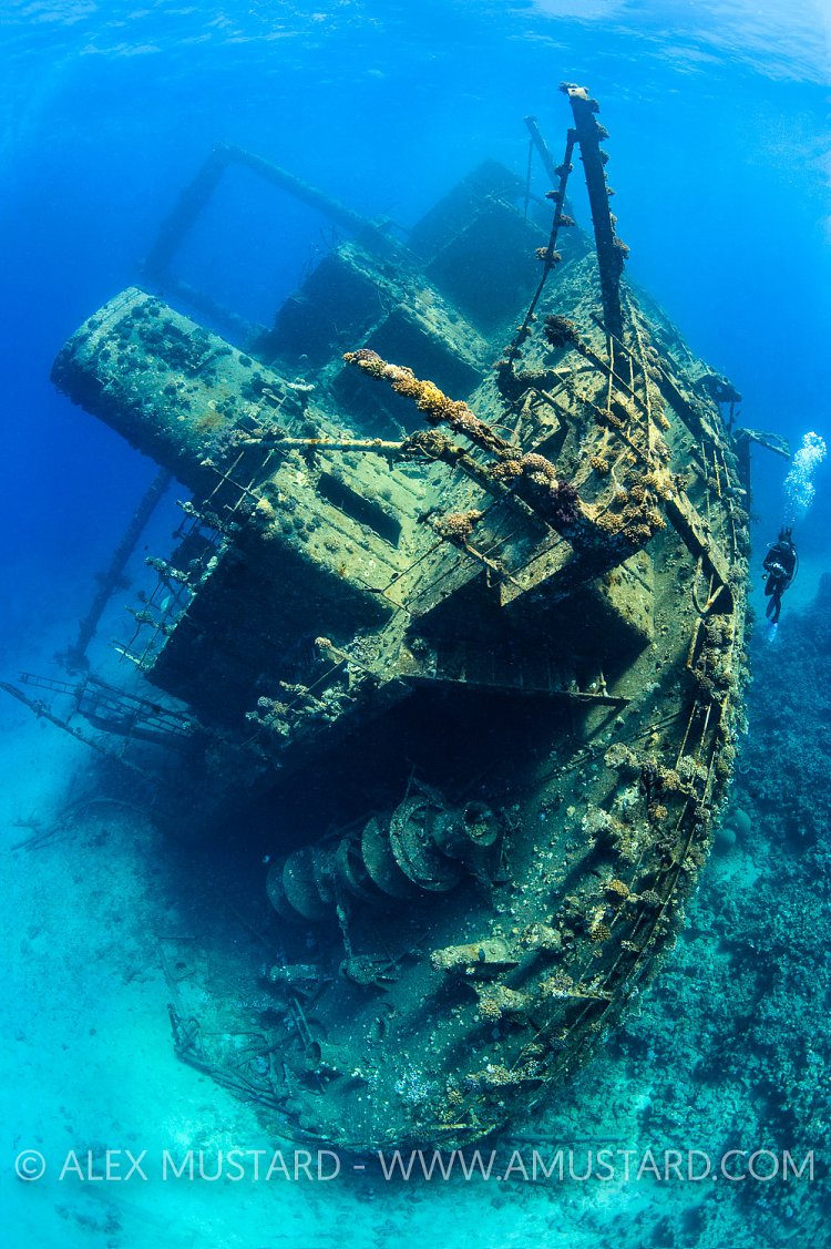 Giannis D Stern. Egypt