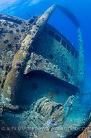 Giannis D Bridge. Egypt