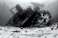 Giannis D Black & White. Egypt