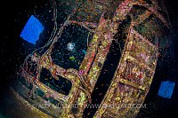 Inside The Giannis D. Egypt